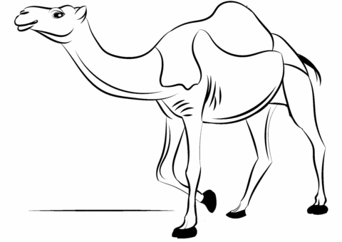 Dromedary Camel Coloring Page